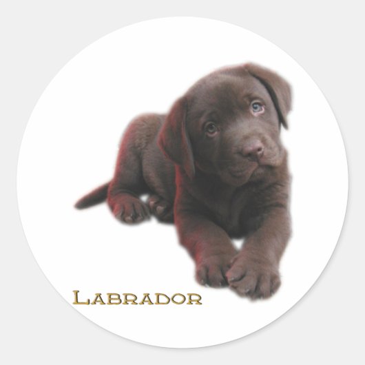 Puppy Lab Ronde Sticker (Voorkant)