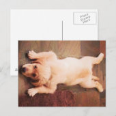 Puppy Laying Funny Briefkaart (Voorkant / Achterkant)