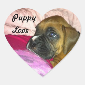 Puppy Liefde Boxer Sticker Dexter