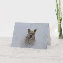 Puppy loopt door het wenskaart feestdagen kaart