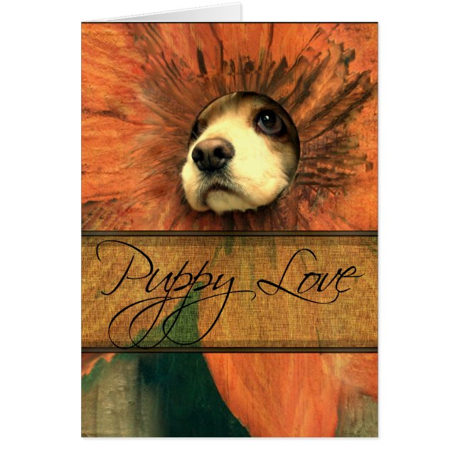 Puppy Love (Voorkant)