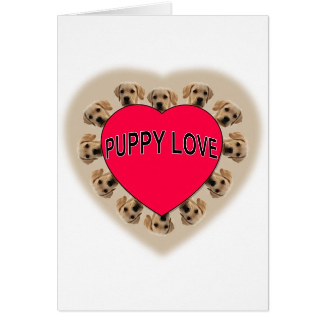 Puppy Love (Voorkant)