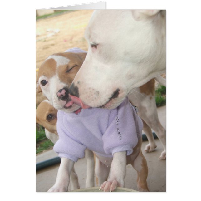 Puppy Love (Voorkant)