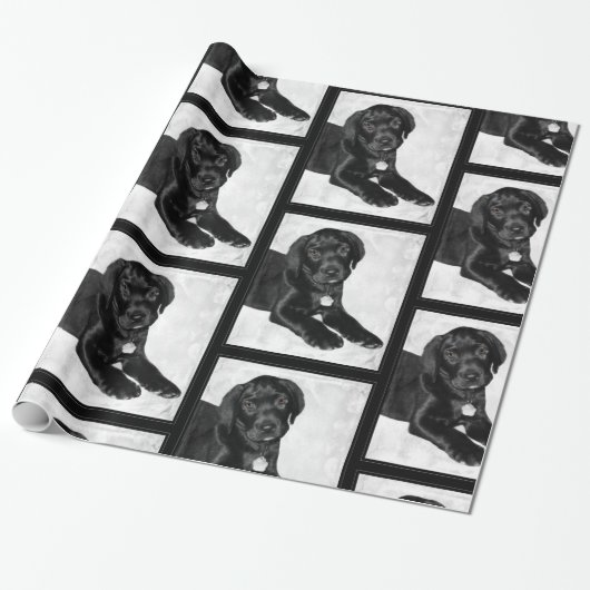 Puppy love black labrador cadeaupapier (Uitgerold)
