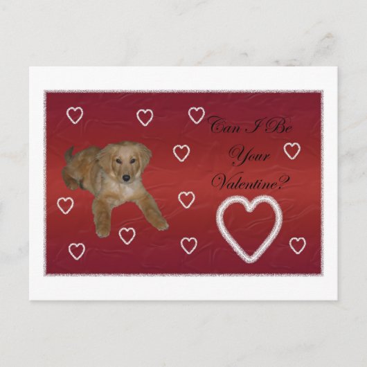 Puppy Love Briefkaart (Voorkant)