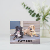 PUPPY LOVE BRIEFKAART (Staand voorkant)