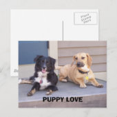 PUPPY LOVE BRIEFKAART (Voorkant / Achterkant)