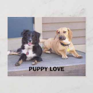 PUPPY LOVE BRIEFKAART