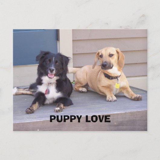 PUPPY LOVE BRIEFKAART (Voorkant)