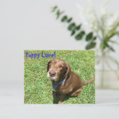 Puppy Love. Briefkaart (Staand voorkant)