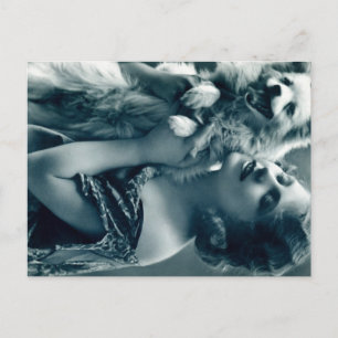 Puppy Love Briefkaart