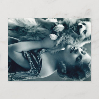 Puppy Love Briefkaart