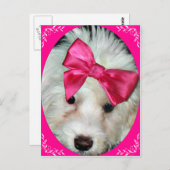 Puppy Love_ Briefkaart (Voorkant / Achterkant)