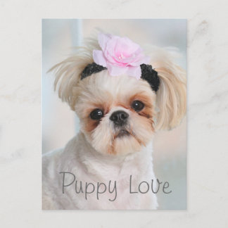 Puppy Love Briefkaart