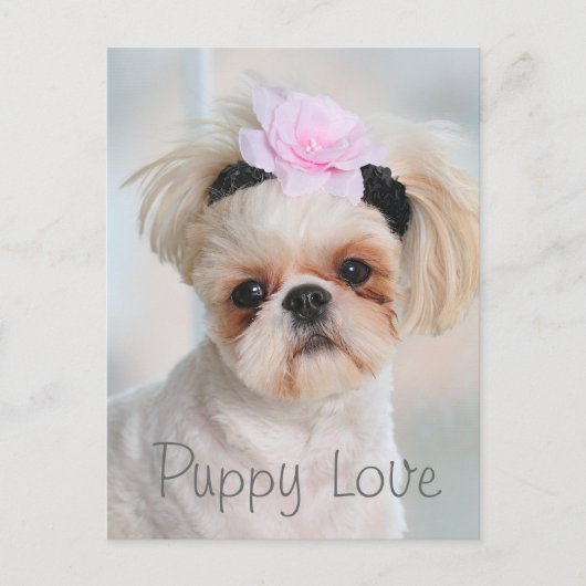Puppy Love Briefkaart (Voorkant)