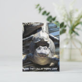 "Puppy Love" — Briefkaart van Gator/Alligator (Staand voorkant)