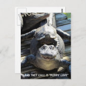 "Puppy Love" — Briefkaart van Gator/Alligator (Voorkant / Achterkant)