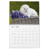 Puppy Love Calendar Kalender (Mar 2026)