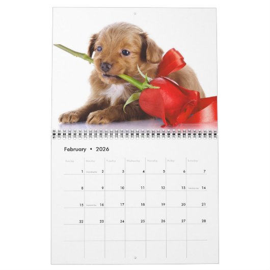 Puppy Love Calendar Kalender (Feb 2026)