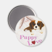 Puppy Love Cavalier King Charles Spaniel Magnet (Voorkant / Achterkant)