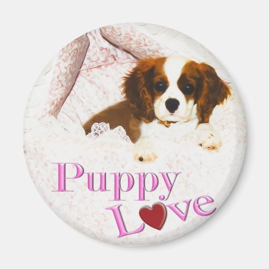 Puppy Love Cavalier King Charles Spaniel Magnet (Voorkant)