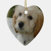 Puppy Love - Cute MaltiPoo Dog Foto Keramisch Ornament (Rechts)