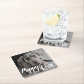 Puppy Love Cute Weimaraner Dog Kartonnen Onderzetters (Insitu)