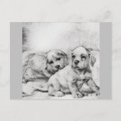 puppy love in gray briefkaart (Voorkant)