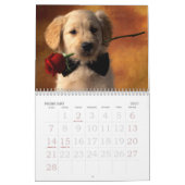 Puppy Love Kalender (Feb 2027)