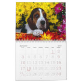 Puppy Love Kalender (Jan 2027)