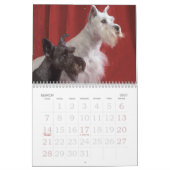 Puppy Love Kalender (Mar 2027)