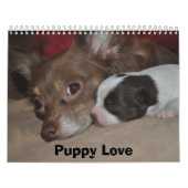 Puppy Love Kalender (Hoes)