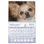Puppy Love Kalender (Feb 2027)