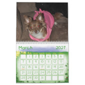 Puppy Love Kalender (Mar 2027)
