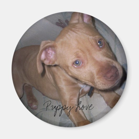 Puppy Love Magneet (Voorkant)