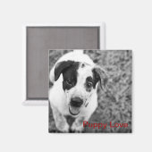 Puppy Love Magneet (Voorkant / Achterkant)