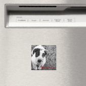 Puppy Love Magneet (Insitu (Vaatwasser))