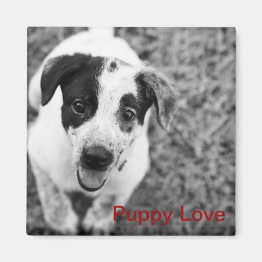 Puppy Love Magneet (Voorkant)