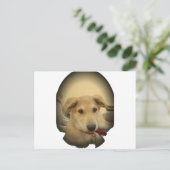 Puppy Love: Man's beste vriend Briefkaart (Staand voorkant)