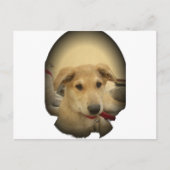 Puppy Love: Man's beste vriend Briefkaart (Voorkant)