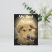 Puppy Love: Man's beste vriend Briefkaart (Staand voorkant)