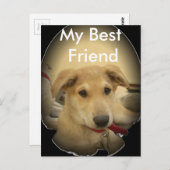 Puppy Love: Man's beste vriend Briefkaart (Voorkant / Achterkant)