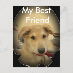 Puppy Love: Man's beste vriend Briefkaart