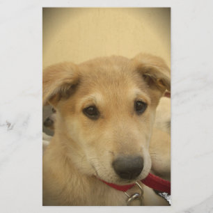 Puppy Love: Man's beste vriend Briefpapier