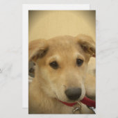 Puppy Love: Man's beste vriend Briefpapier (Voorkant / Achterkant)