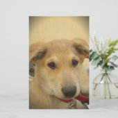 Puppy Love: Man's beste vriend Briefpapier (Staand voorkant)