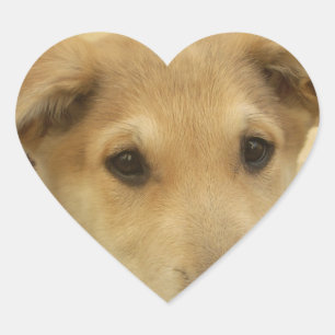 Puppy Love: Man's beste vriend Hart Sticker