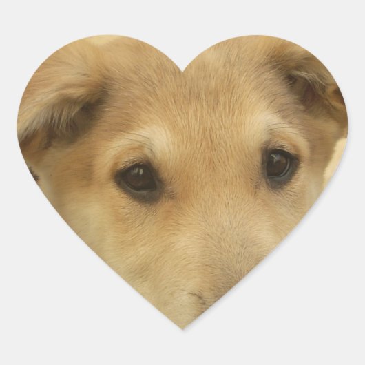 Puppy Love: Man's beste vriend Hart Sticker (Voorkant)