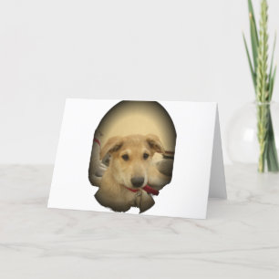 Puppy Love: Man's beste vriend Kaart