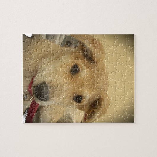Puppy Love: Man's beste vriend Legpuzzel (Horizontaal)